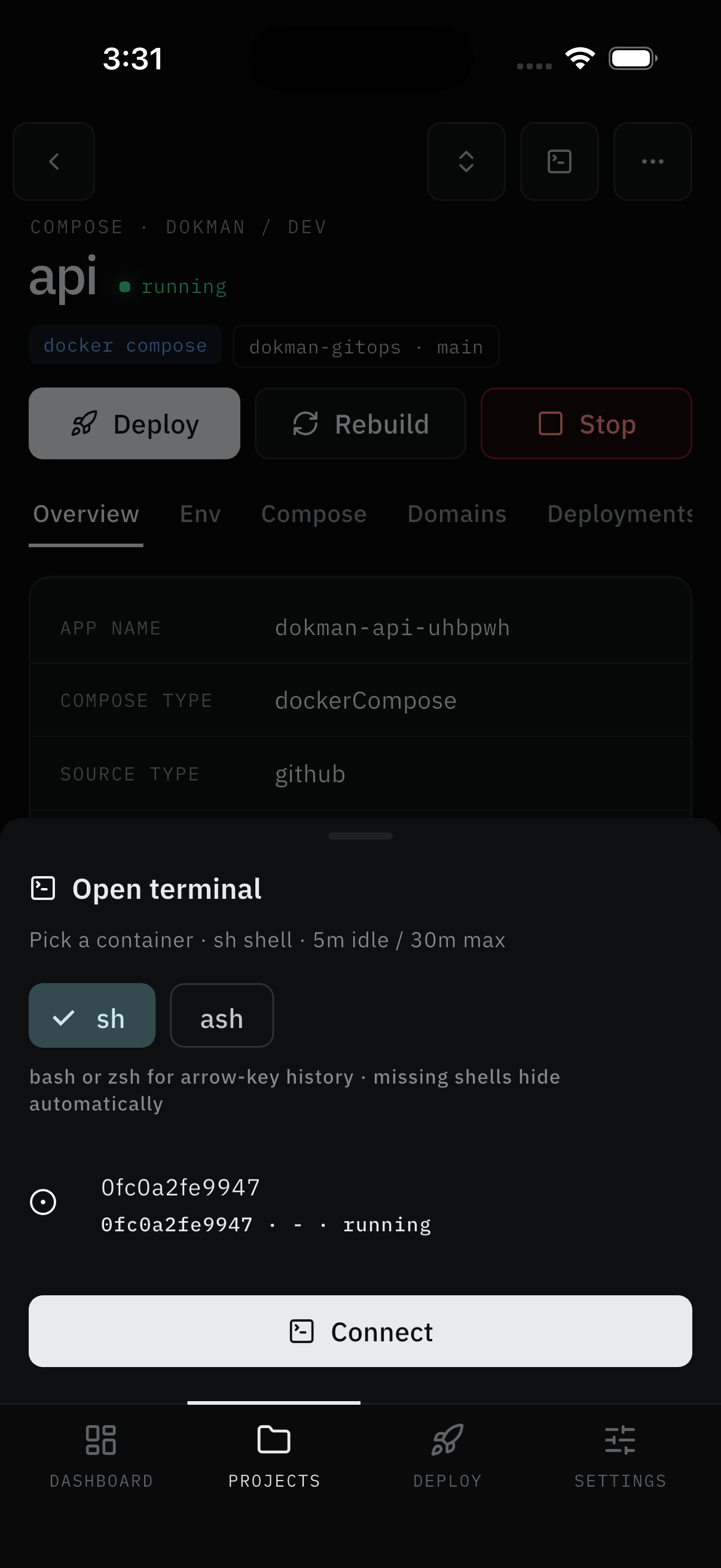 Open terminal sheet: shell chips, container row, Connect